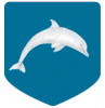 DolphinBanner